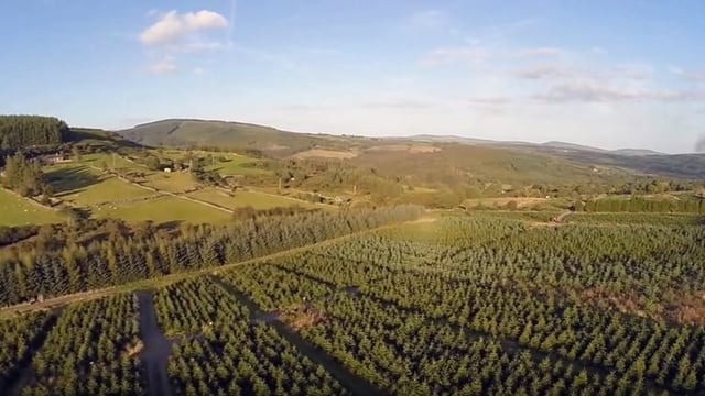 Video: Great footage of the view over a Christmas tree farm