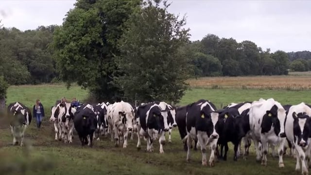 Video: Food waste and sustainability feature on Ear to the Ground