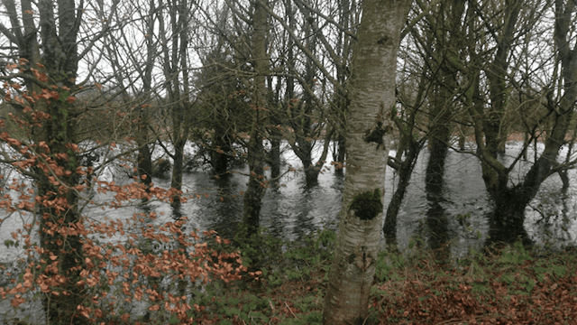 Storm Frank - where will it hit and how bad will it be?
