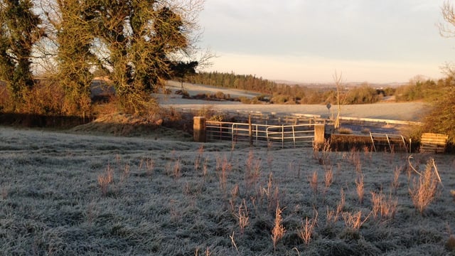Weather: Cold spell to continue with mixed conditions