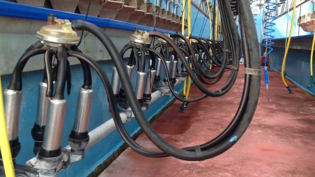 Tirlán base milk price up 1c/L for March supplies