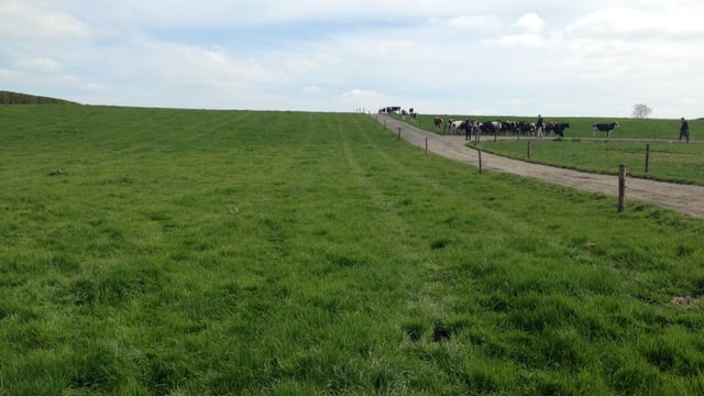 'Educating those not at the Dairy Conference about grass utilisation is the challenge'