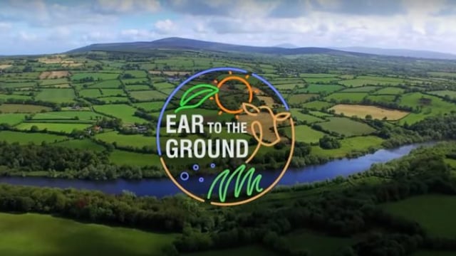 Reducing antibiotic usage on farm by over €2,000 features on Ear to the Ground