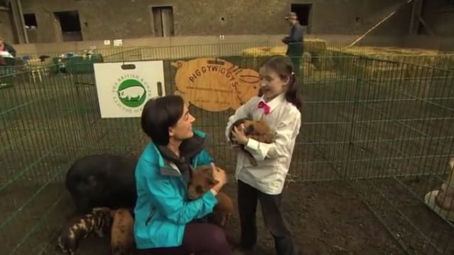 Video: Pigs and a playschool on a dairy farm feature on Ear to the Ground