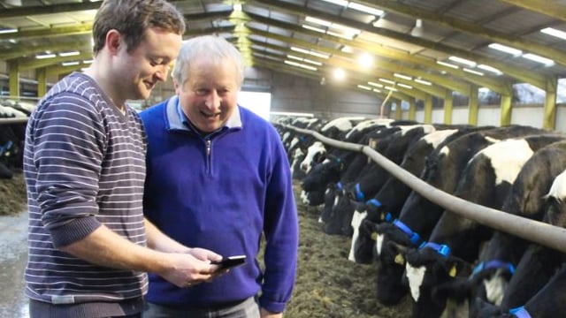One of Ireland's largest dairy farms fits Dairymaster's MooMonitor system