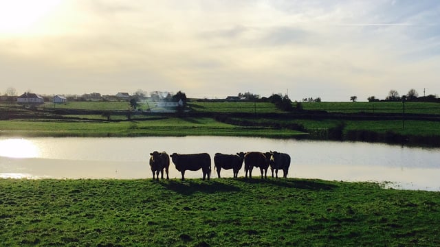 'Farmers' hands are tied in Galway as flooding shows no sign of abating'