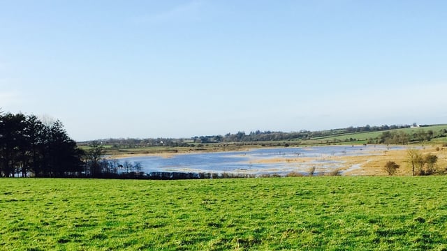 Department to provide more assistance to farmers hit by flooding