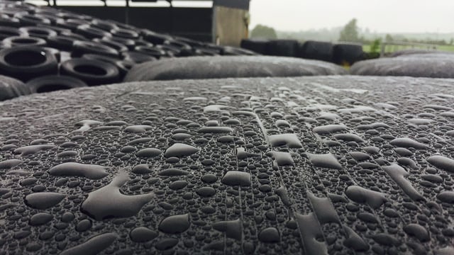 Showery and windy for Christmas week, no snow promised - Met Eireann