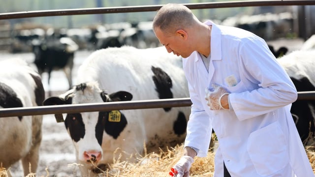 Study shows county breakdown of herd-to-vet proximity