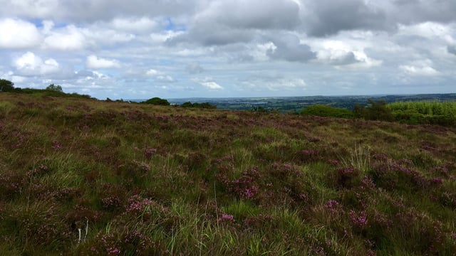 'Scrapping the ANC scheme would damage rural areas in Northern Ireland'