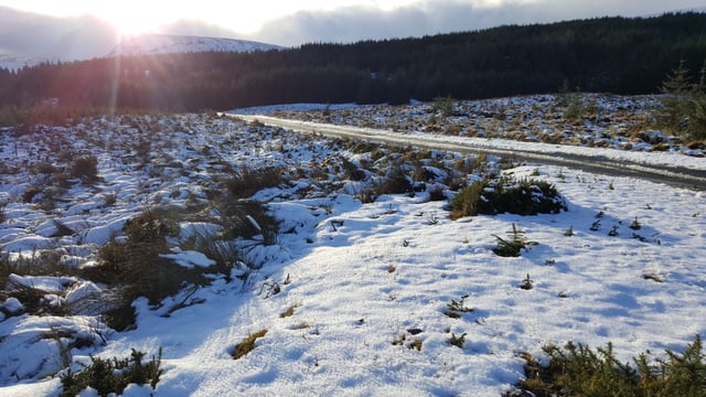 Lows of -6 and more snow on the way as weather warnings extended