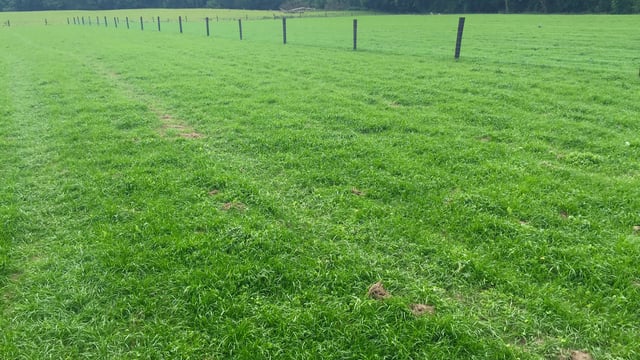 Soil test results represent real power for farmers
