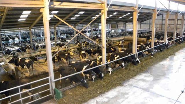 Inside the €2.3m UCD dairy research farm at Lyons