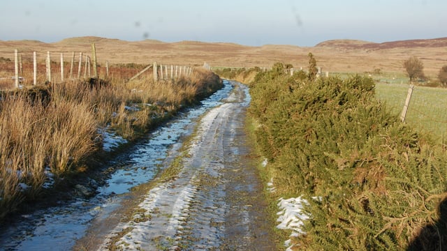 Frost and ice forecast - here's good advice for driving in these conditions