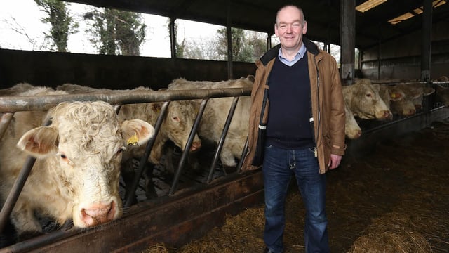 IFA Elections 2016: Flor McCarthy profile