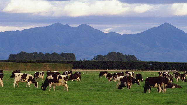 Fonterra offers $250,000 in grants for wetlands restoration
