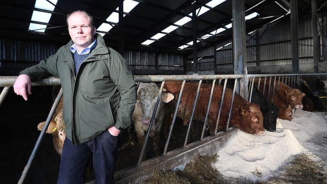 IFA Elections 2016: Henry Burns profile