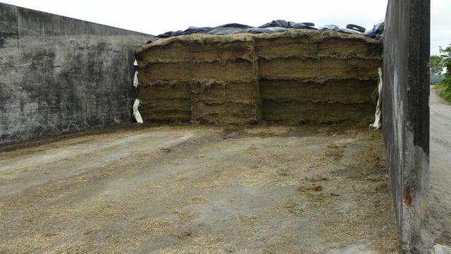 Dairy advice: Ensuring your fodder supplies last the winter