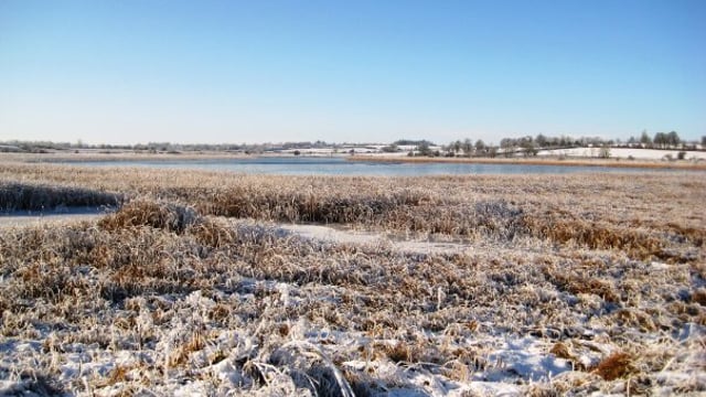 Cold, frosty weather to continue with little improvment in ground conditions - Met Eireann