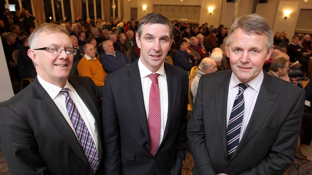 'We need more information on Brexit to decide what's best for Northern Irish agriculture'