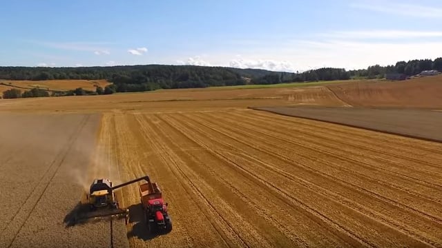 Video: Great footage of the wheat harvest in Norway last year