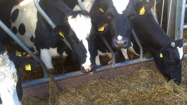 Collaborative farming can help address labour shortages
