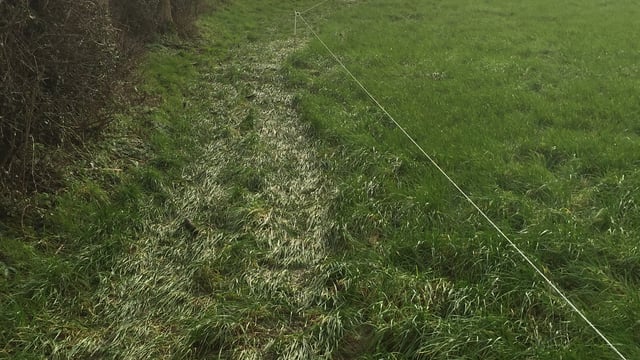 Here's why the extra grass on your farm may not be good for your pocket