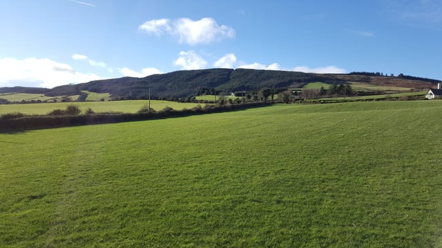 Teagasc launches new schemes support unit