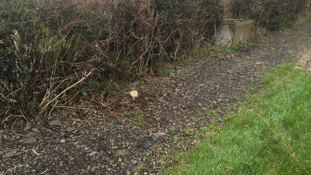Government 'out of touch' on green waste issue - ICSA