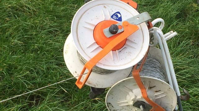 Spring grazing: Allocations can be a process of trial and error
