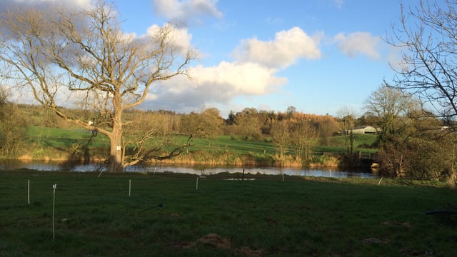 Northern Irish farmer fined for allowing silage effluent to enter waterway