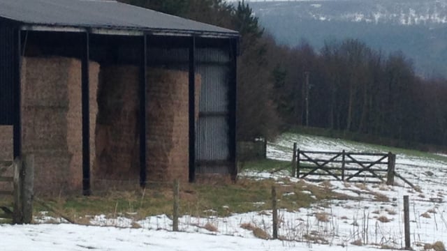 Pics: Snow hit the country last night - there was some great shots on Twitter