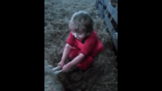 Video: Three-year-old delivers lamb... all by herself!