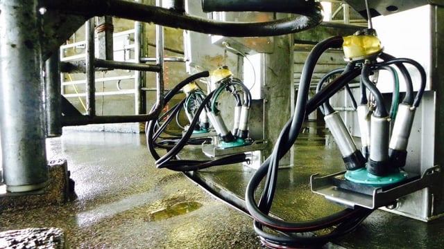 Handy tips to keep milking equipment from freezing