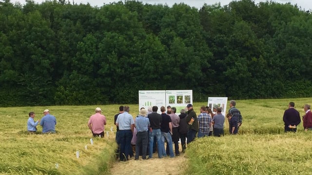 Teagasc receives over 200 applications for Agricultural Development Officer roles