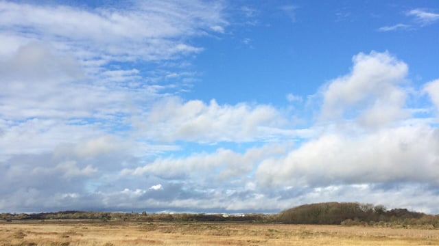 Ending producer monopolies among Renua's plans for rural Ireland