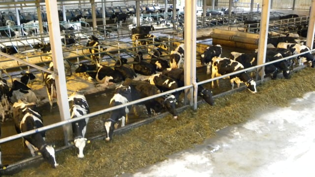 'We can't lose sight of the farmer - there must be a dividend for them'