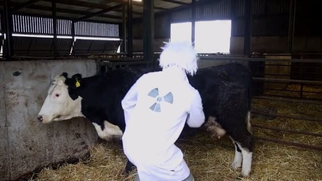 Videos: General Election candidates try to woo voters with crafty videos