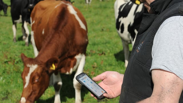 Herdwatch reveals high-level appointments at Agtech online