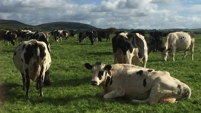 Best-practice guidelines for dairy farmers this month