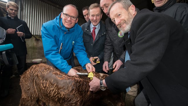 'Minister put politics before hard pressed farmers' by not attending key EU meeting