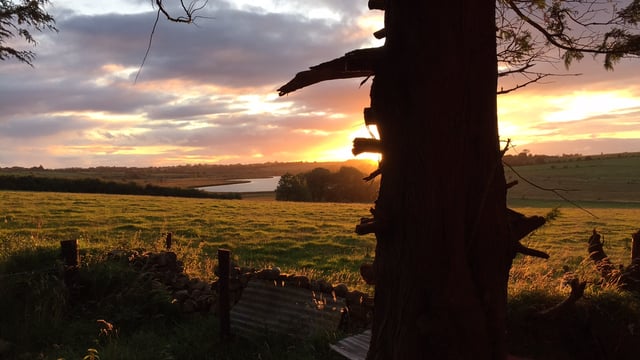 Land availability the biggest issue for Irish young farmers, says study