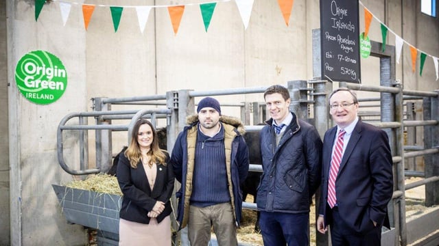 Bord Bia promotes live cattle exports at Italy’s premier Livestock Fair