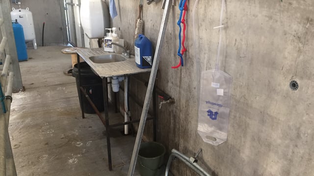 Autumn calving: Do you have you supplies ready?