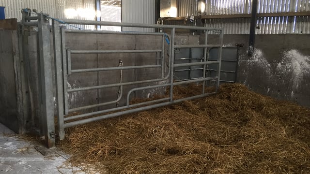 Autumn calving: Preparing for the arrival of calves