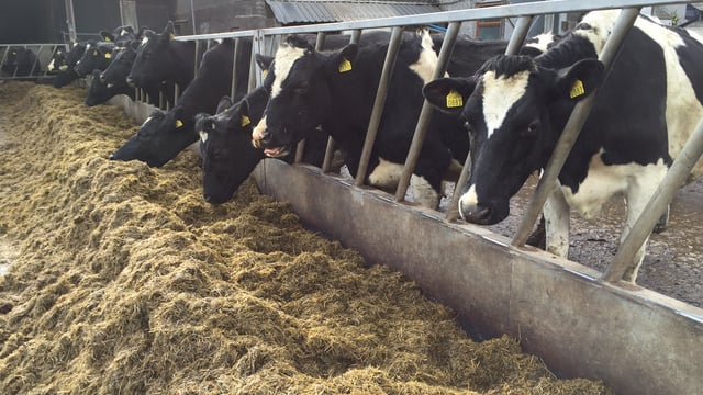 Grass growth: Continuing to fall across the country