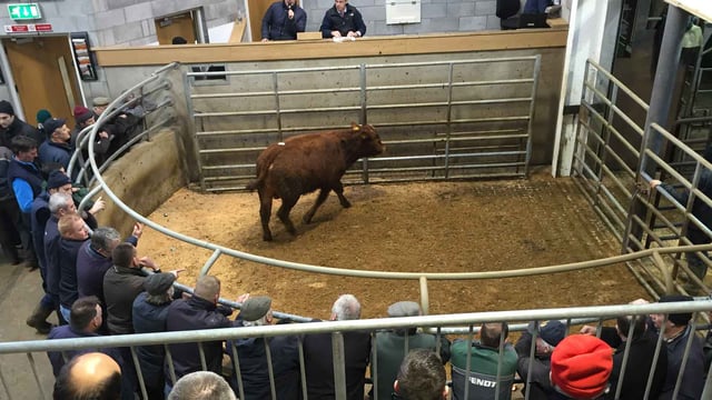 Minute's silence to be observed in marts for farm fatalities