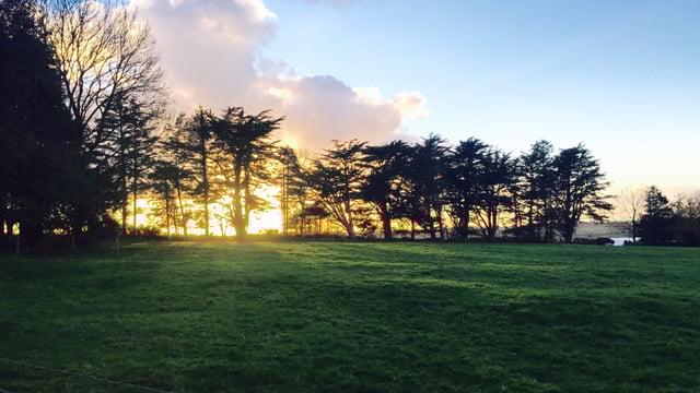 Embrace FARM sets up fourth support network