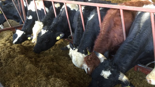 Almost 6,000 farmers withdraw from Genomics Programme
