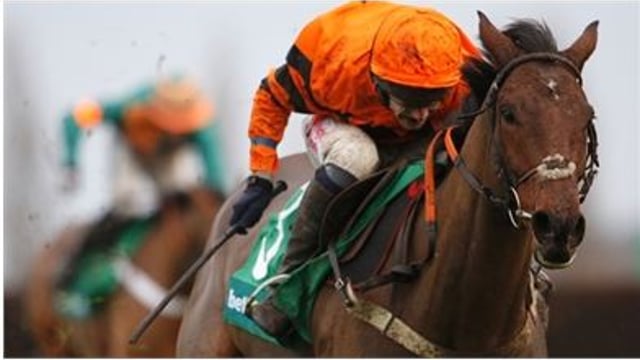 Here's five horses with farming connections to keep an eye on at Cheltenham